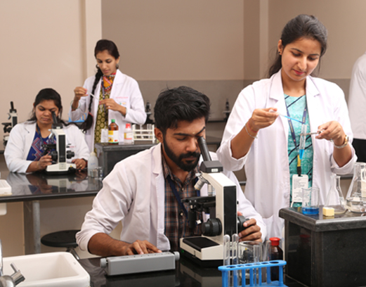 Students Learning